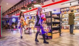 动漫店,探索我们的动漫店魅力